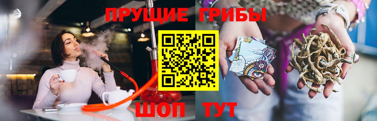 Галлюциногенные грибы Magic Shrooms Качканар